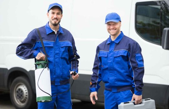 הדברת מזיקים2